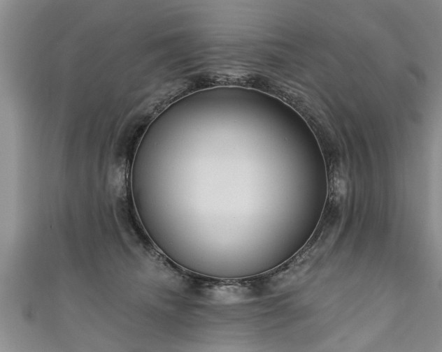 X0000111170468200907081218