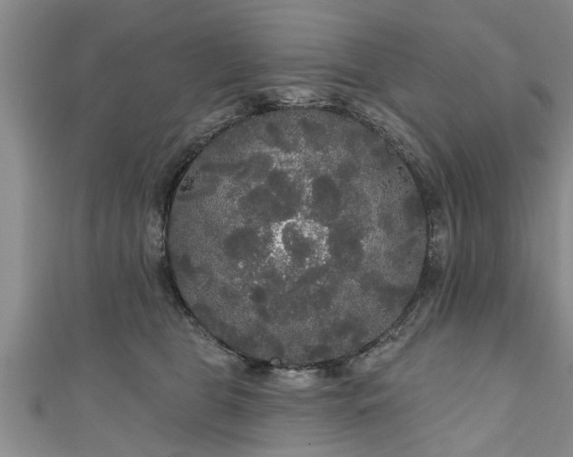 X0000111170469200907081218