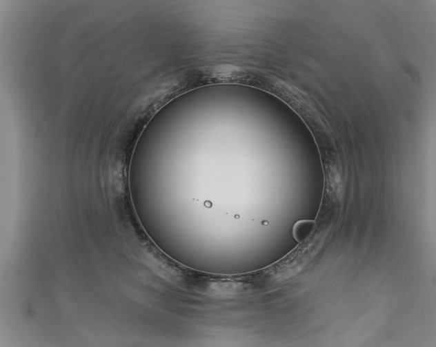 X0000111170470200907081218