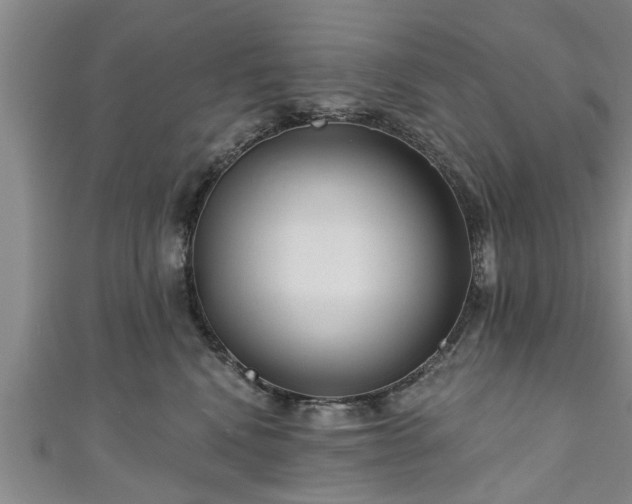 X0000111170472200907081218