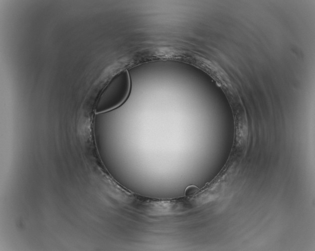 X0000111170473200907081218