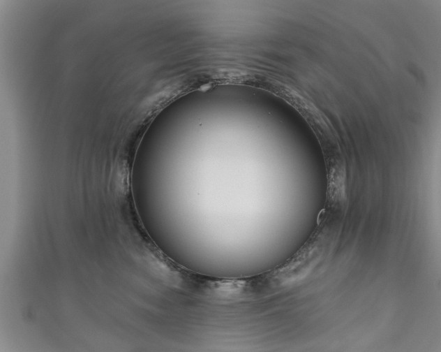 X0000111170474200907081218