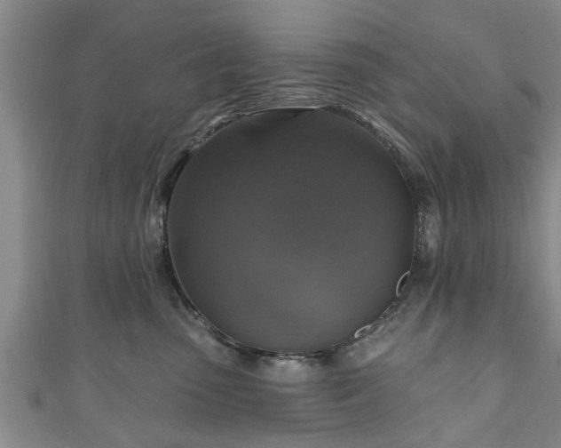 X0000111170475200907081218