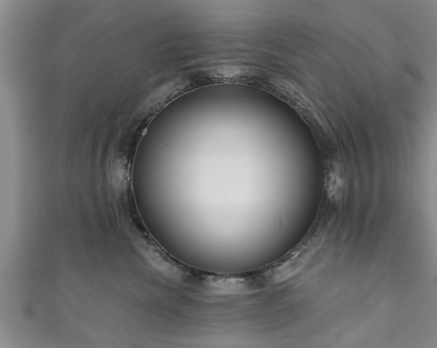 X0000111170476200907081218