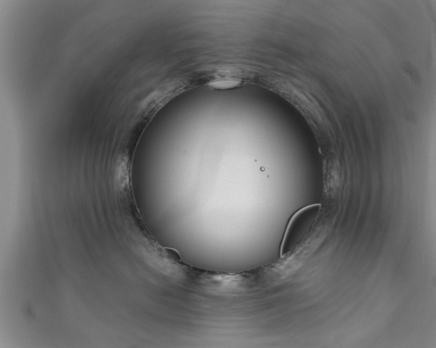 X0000111170478200907081218