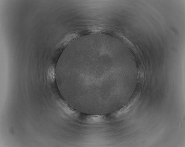 X0000111170479200907081218