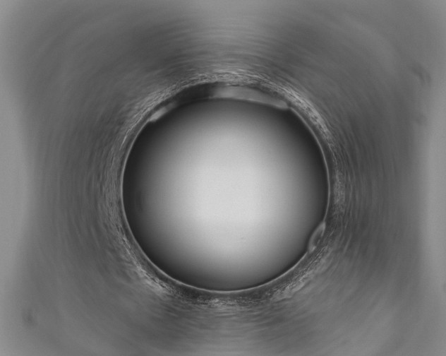 X0000111170481200907081218