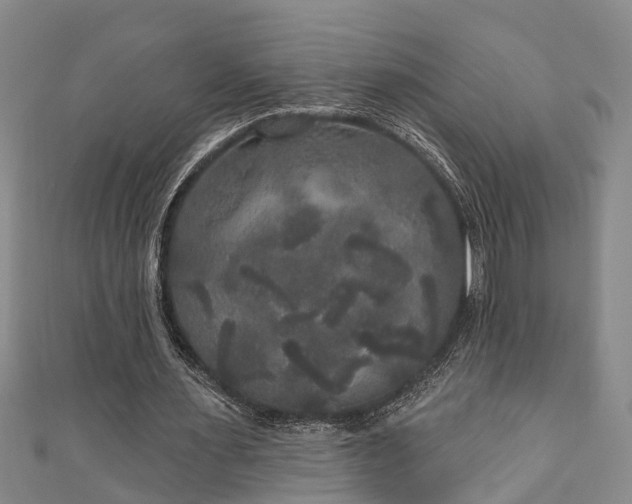 X0000111170483200907081218