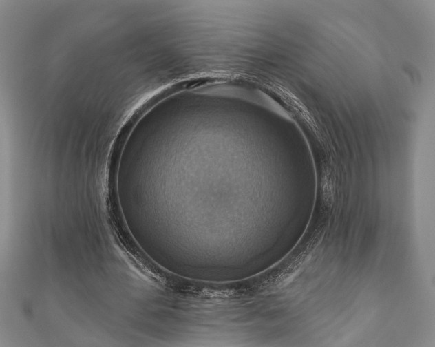 X0000111170484200907081218