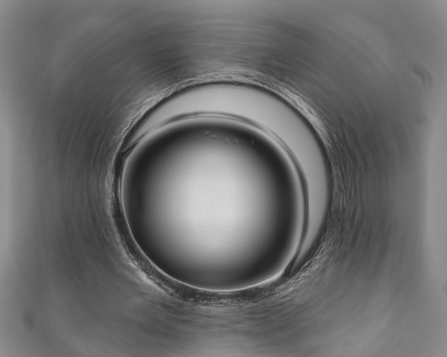 X0000111170485200907081218