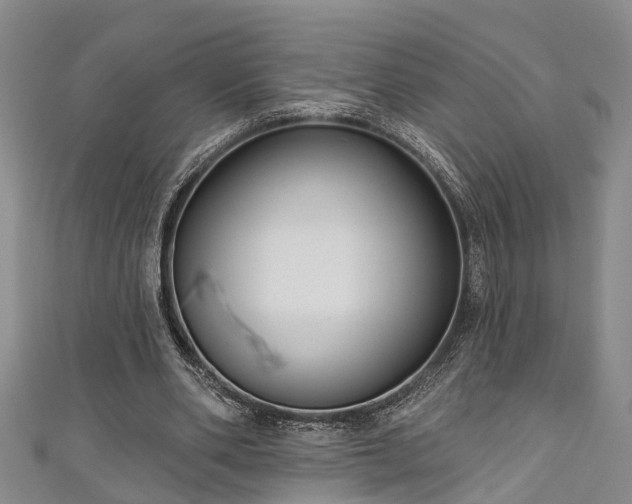 X0000111170486200907081218