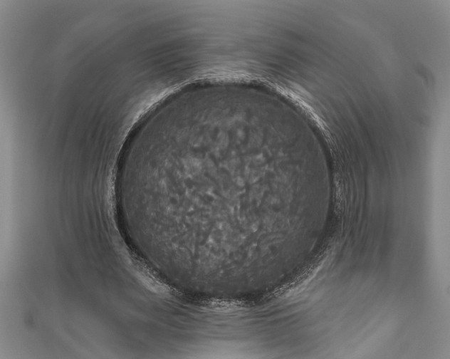 X0000111170487200907081218