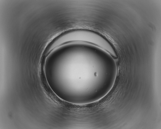 X0000111170488200907081218