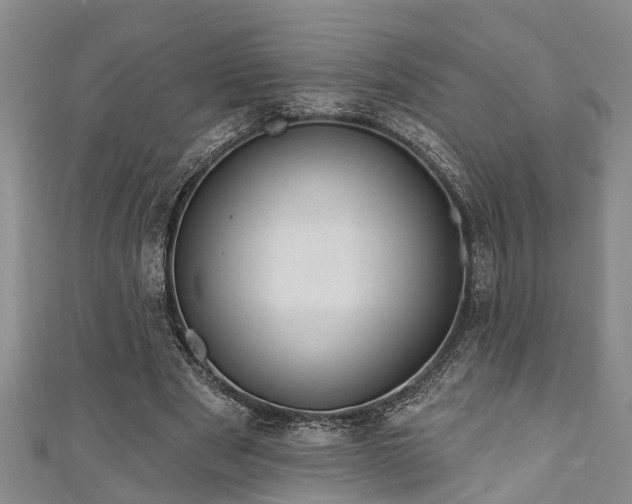 X0000111170489200907081218