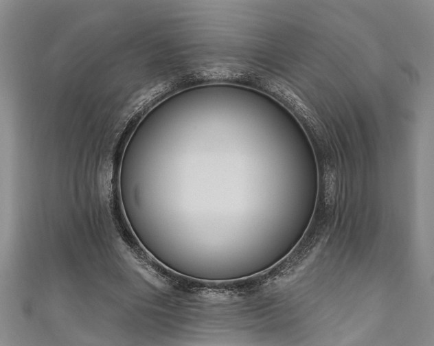 X0000111170490200907081218