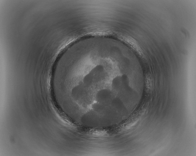 X0000111170491200907081218