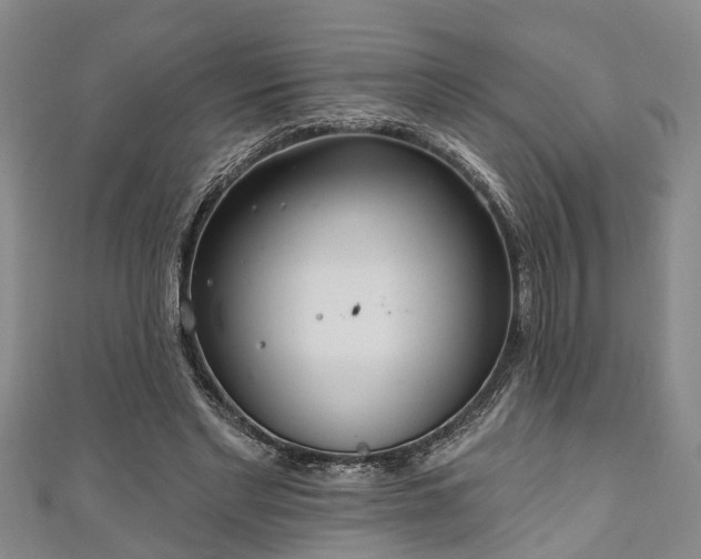 X0000111170493200907081218