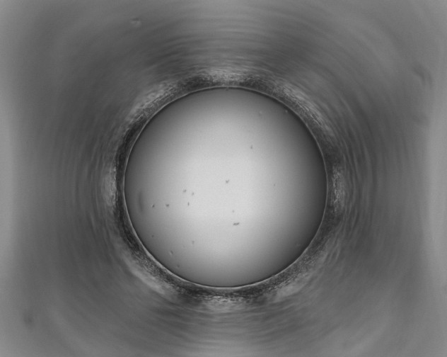 X0000111170494200907081217