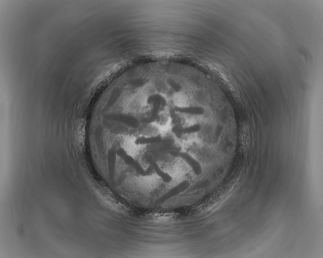 X0000111170495200907081217