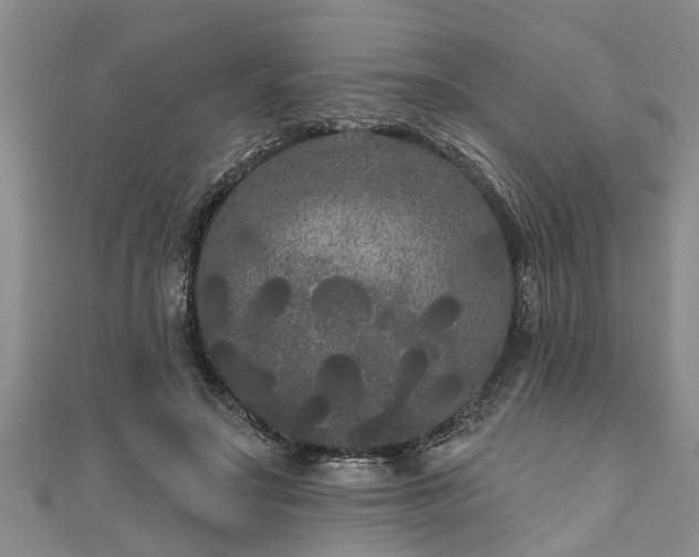 X0000111170499200907081217