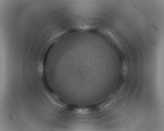 X0000111170500200907081217