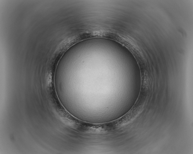 X0000111170502200907081217