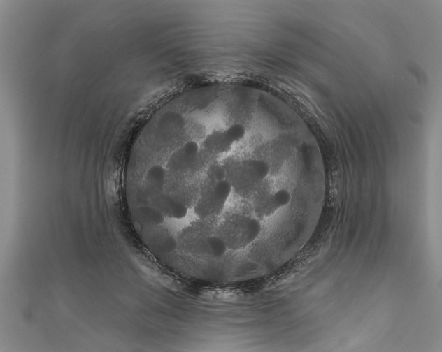 X0000111170503200907081217