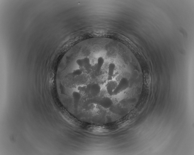 X0000111170507200907081217