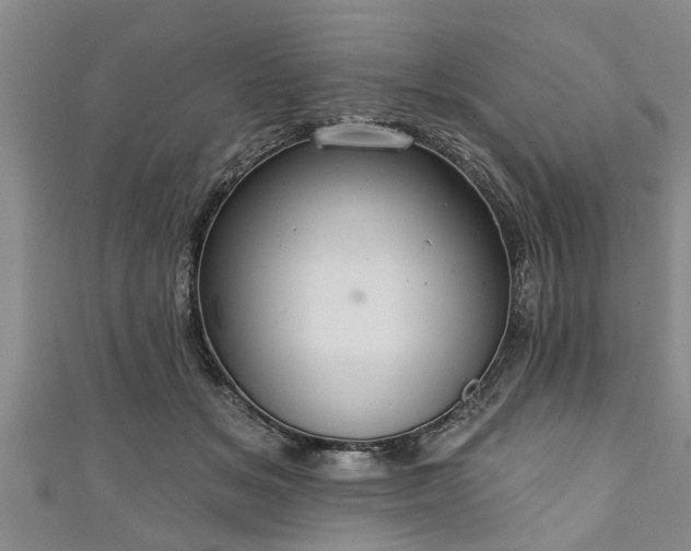 X0000111170509200907081217