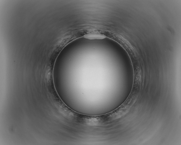 X0000111170513200907081217