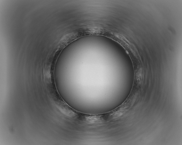 X0000111170516200907081217