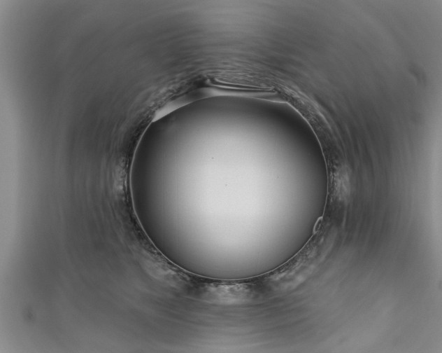 X0000111170517200907081217