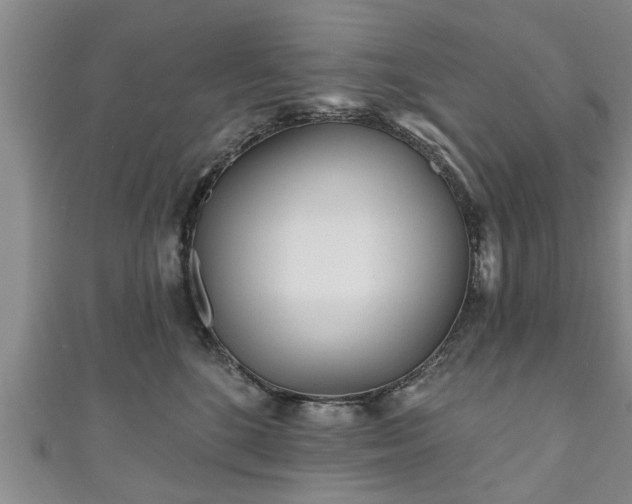 X0000111170520200907081217