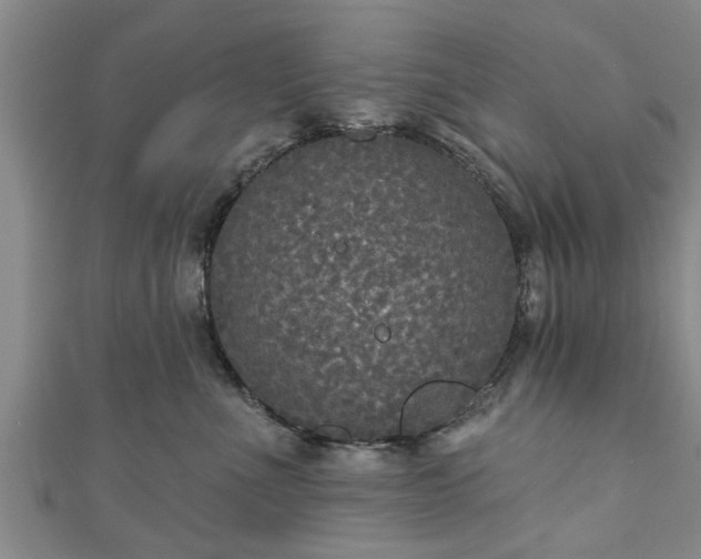 X0000111170523200907081217