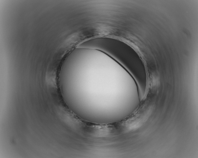 X0000111170524200907081217