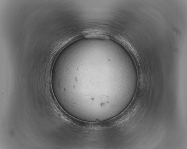 X0000111170529200907081216