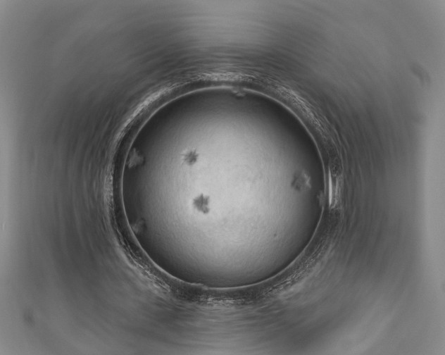 X0000111170531200907081216