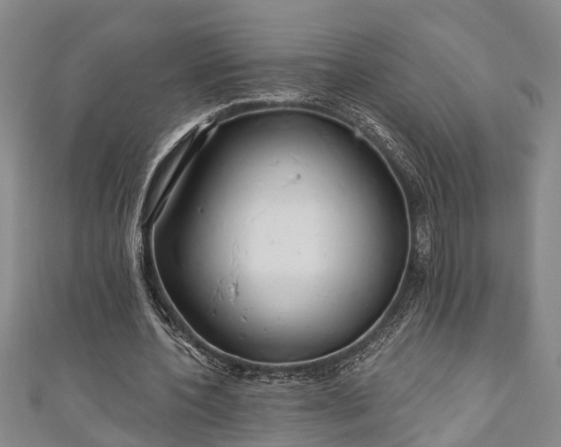 X0000111170532200907081216