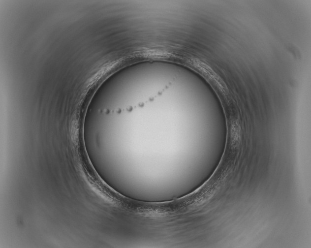 X0000111170533200907081216