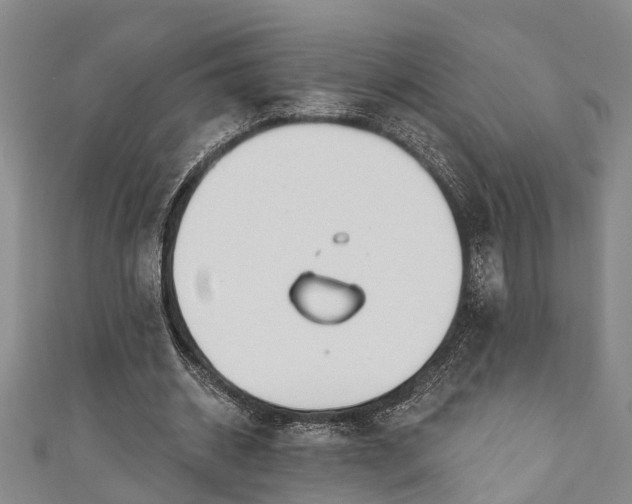 X0000111170534200907081216