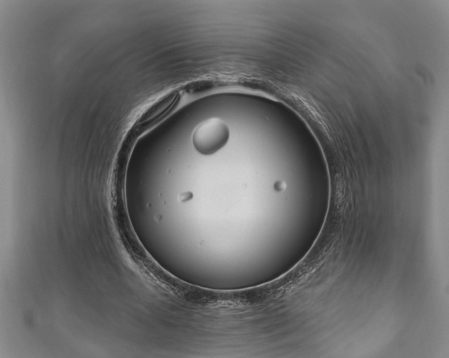 X0000111170536200907081217