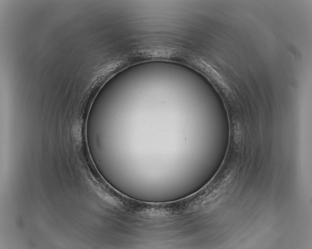 X0000111170537200907081217