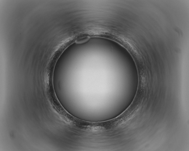 X0000111170539200907081217