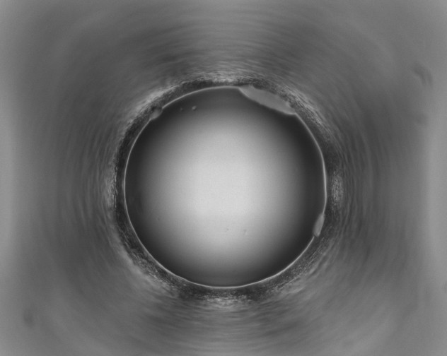 X0000111170540200907081217