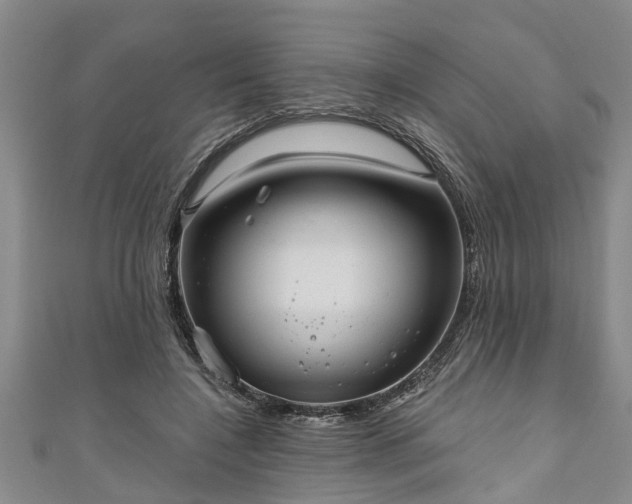 X0000111170548200907081217