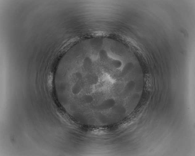 X0000111170550200907081217