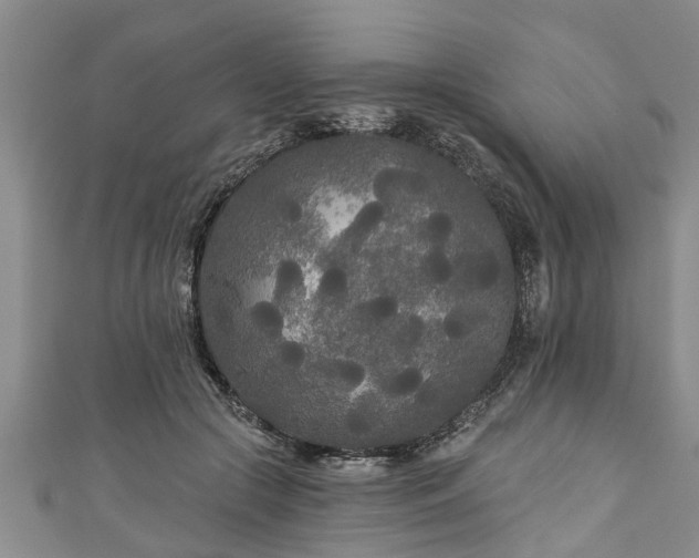 X0000111170553200907081217