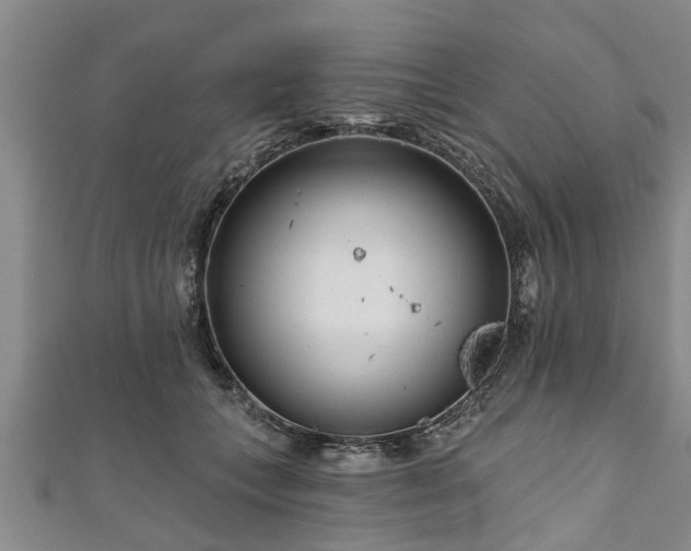 X0000111170559200907081217