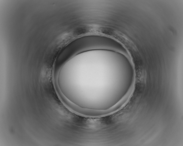 X0000111170560200907081217