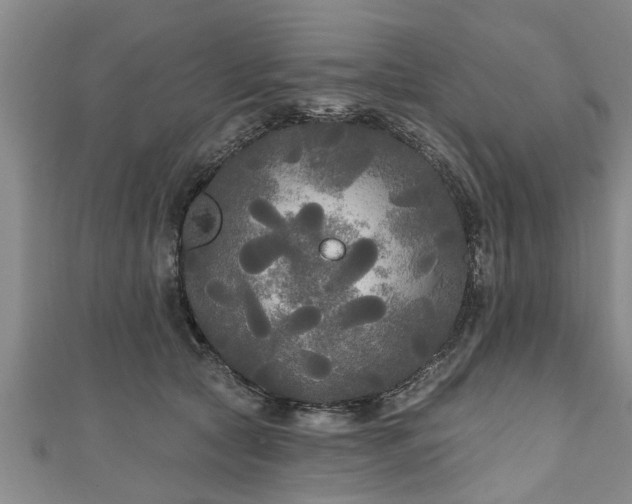 X0000111170561200907081217